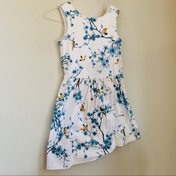 Zara Other - ZARA white dress blue floral design sz 11/12